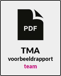 tma-voorbeeldrapport-team-nl.jpg